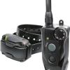 Dogtra 200C Series Remote Training Collar