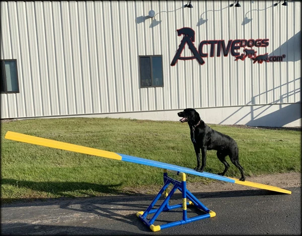 Agility SeeSaw Teeter Base - Image 3