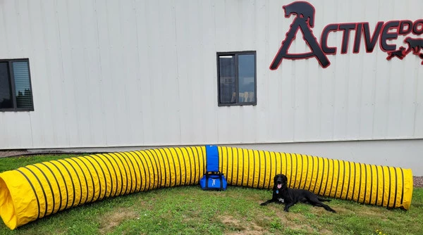 Agility Heavy Duty Dog Tunnel 24" X 20' - Image 2