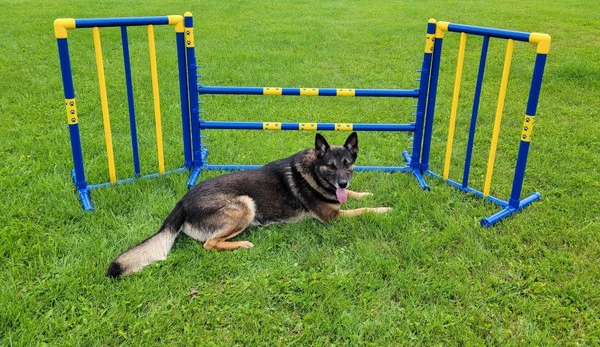 Agility Free Standing Wings - Image 6