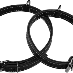 Center D-Ring Leather Dog Collar 1"