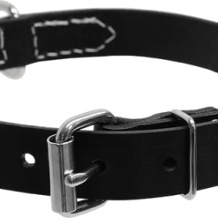 Single Layer Center D-Ring Leather Dog Collar