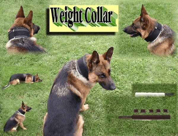 5 Lb Dog Weight Collar - Image 2
