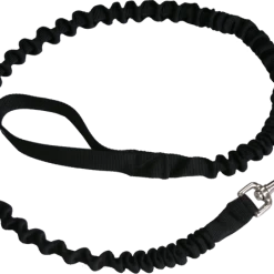 Bungee Leash