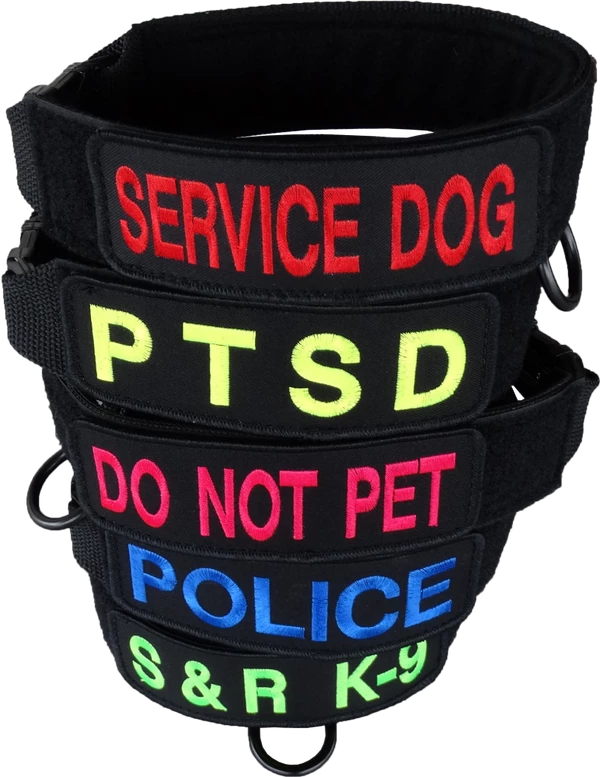 Custom ID Patch Dog Collar