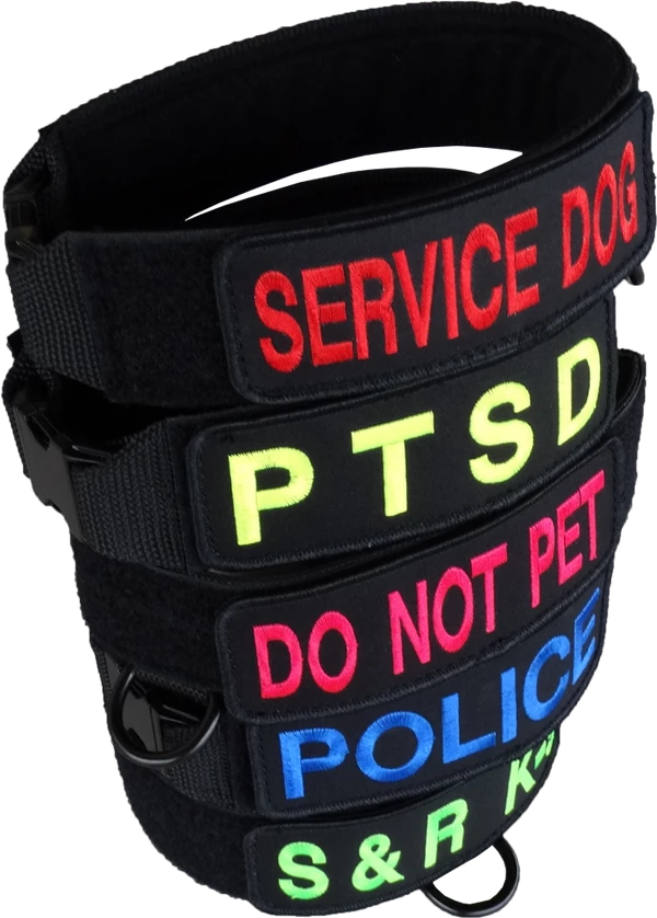Custom ID Patch Dog Collar - Image 3