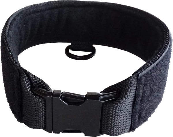 Custom ID Patch Dog Collar - Image 8