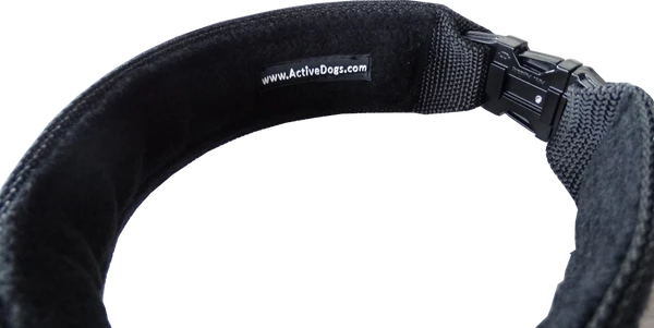 Custom ID Patch Dog Collar - Image 9