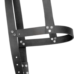 Leather H-Harness