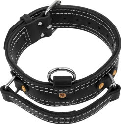 Leather Collar With Flat Handle 2"