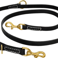 Hands Free Leather Dog Leash 6'