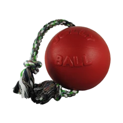 Romp-n-Roll Jolly Ball
