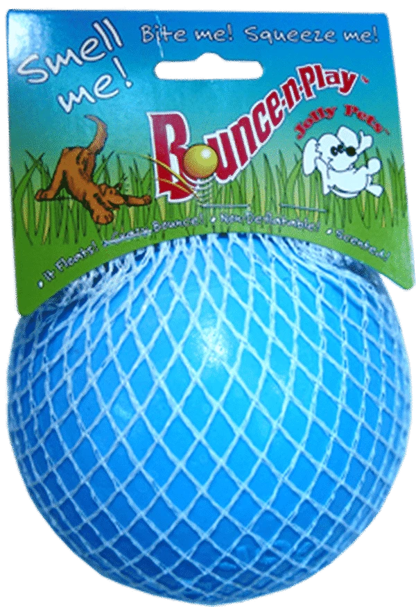 Bounce-n-Play Ball - Image 3