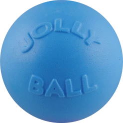 Bounce-n-Play Ball