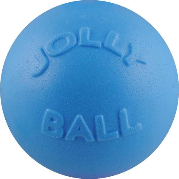 Bounce-n-Play Ball