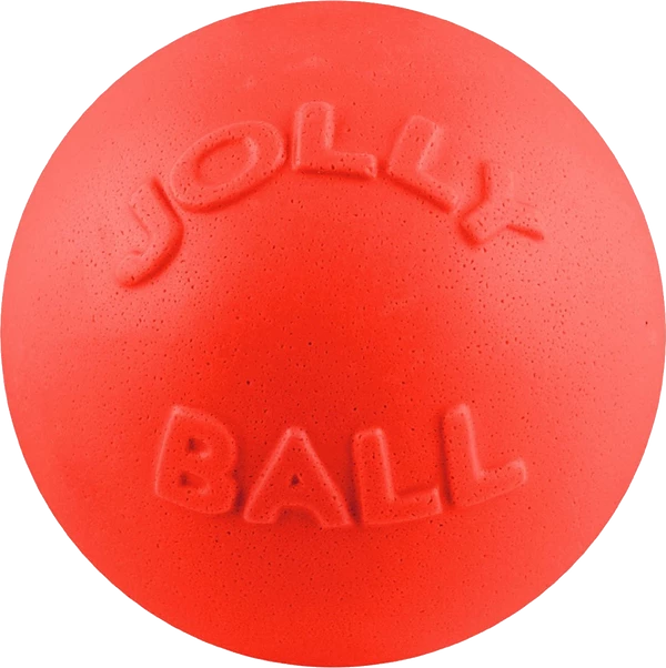 Bounce-n-Play Ball - Image 4
