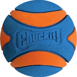 Chuckit Ultra Squeaker Ball