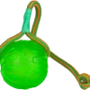 Swing N Fling Chew Ball Dog Toy