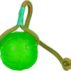 Swing N Fling Chew Ball Dog Toy