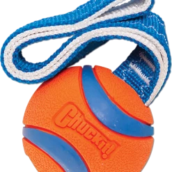Chuckit! Ultra Tug Ball Dog Toy - Large