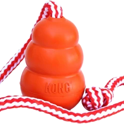 Kong Aqua Toy - Large