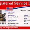 Registry Identification Card + Free Digital Copy