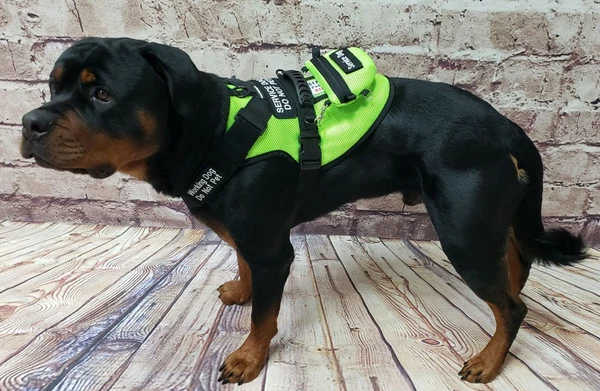 Spacer Mesh Vest Clip-On Small Bag - Image 5