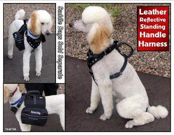 Leather Reflective Standing Handle Harness - Image 2