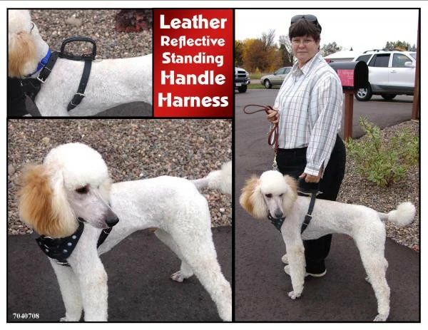 Leather Reflective Standing Handle Harness - Image 3