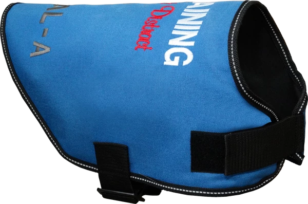 Dog In Training - Do Not Distract Jacket/Vest