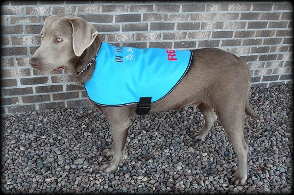 Dog In Training - Do Not Distract Jacket/Vest - Image 8