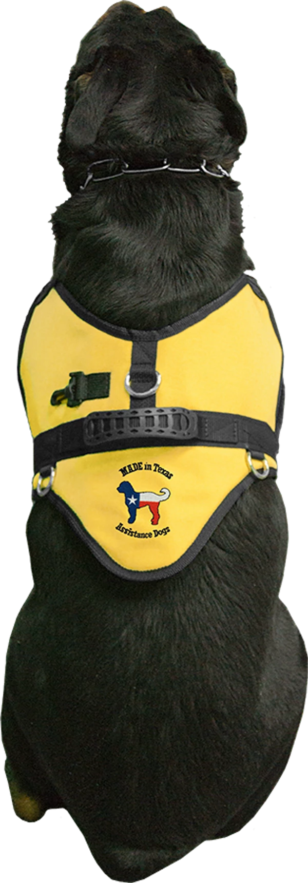 Custom Logo Padded Harness Vest - Image 11