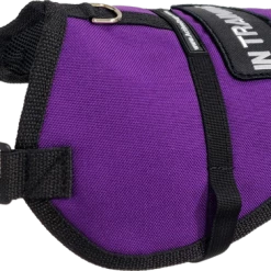 Padded Service Dog Vest - Sm/Med Dog