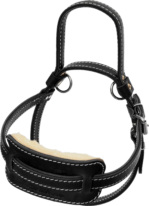 Leather Guide Dog Harness - Image 2