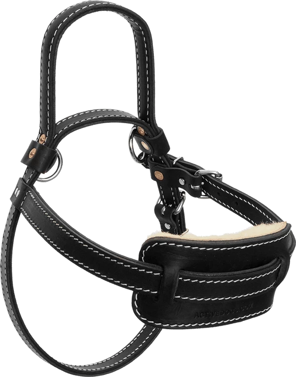 Leather Guide Dog Harness