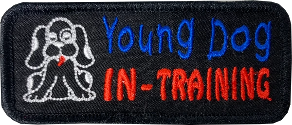 Embroidered Small Specialty Patches - Image 7