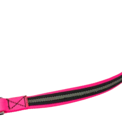 Reflective Traffic Leash