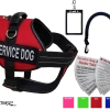 Service Dog Starter Kit - Padded Air-Tech Service Dog Harness Vest + Clip-on Bridge Handle & More