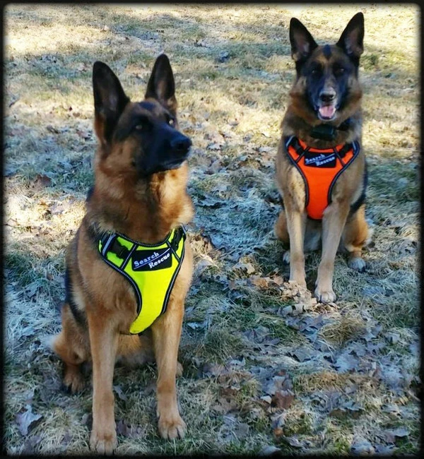 Search & Rescue Reflective Padded Tracking Harness - Image 10