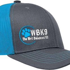 Custom Logo/Text Snapback Trucker Hat