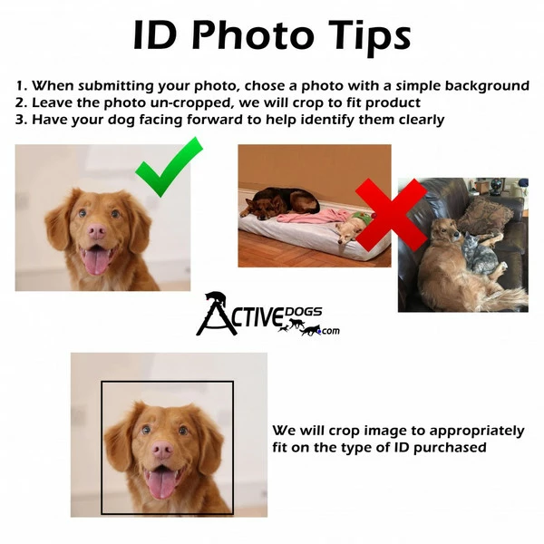 ActiveDogs Registered Service Dog ID Card + 3 Key Tag Cards + Clip-On Carrier + Free Digital Copy - Image 10