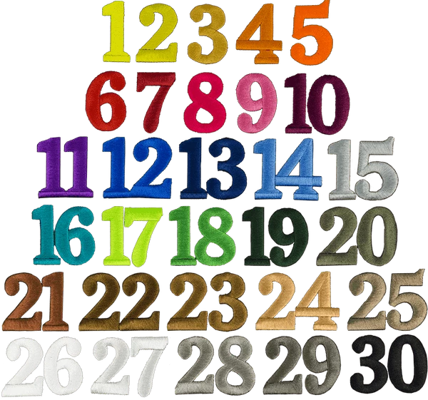 Custom ID Patch Dog Collar - Image 2